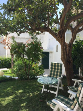 DORIANA GARDEN HOUSE